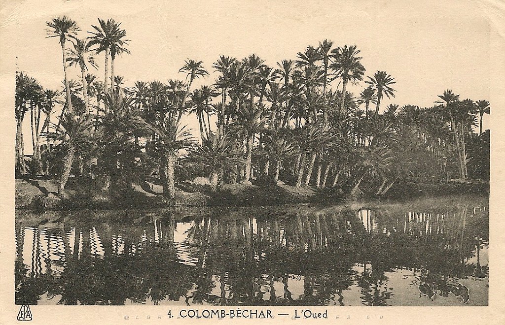 colomb bechar  (12).jpg